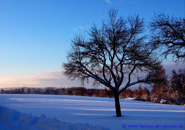 Landschaft im Winter