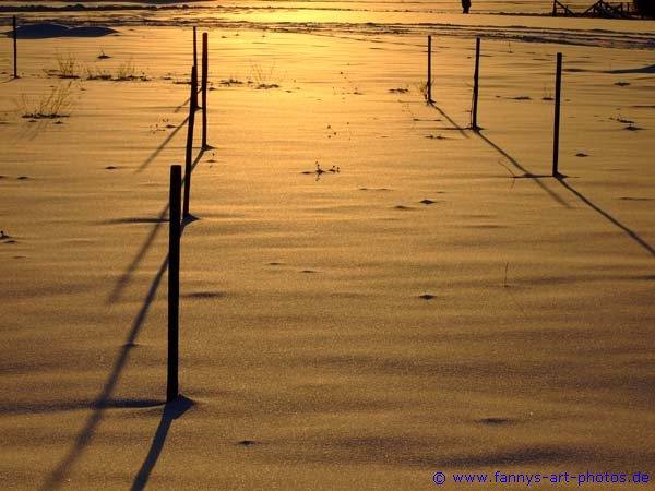 Licht und Schatten im Winter